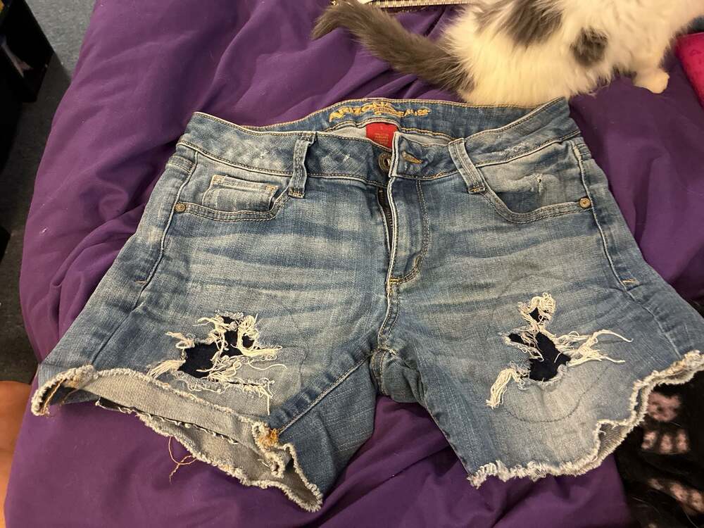 Arizona The Original Jean Co. Distressed Raw Hem Denim Shorts